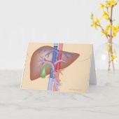 レバー移植のプロシージャ カード (黄色い花)