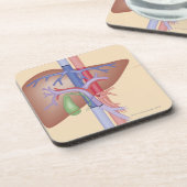 レバー移植のプロシージャ コースター (左側)