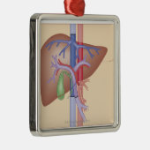 レバー移植のプロシージャ メタルオーナメント (右)