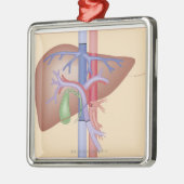 レバー移植のプロシージャ メタルオーナメント (左)