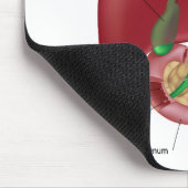 レバー膵臓の図表のマウスパッド マウスパッド (コーナー)