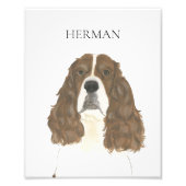 レバー&ホワイトイングリッシュスリンガースパニエル犬アート フォトプリント            (正面)