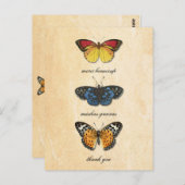 レパピヨンサンキューハガキ ポストカード (正面/裏面)