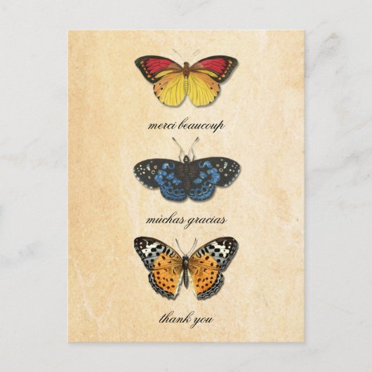 レパピヨンサンキューハガキ ポストカード (正面)