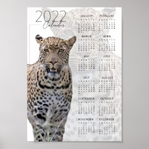 レパード野生動物 2022 カレンダー ポスター