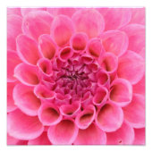 レビのメロンを閉じる（ピンクの花） フォトプリント            (正面)