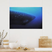 レビアタン ポスター (キッチン)