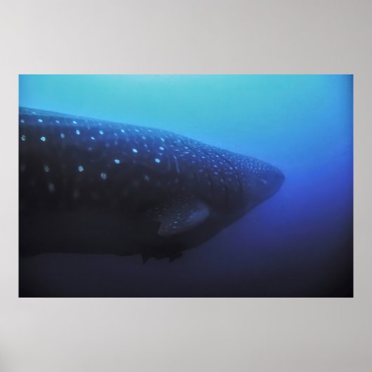 レビアタン ポスター (正面)