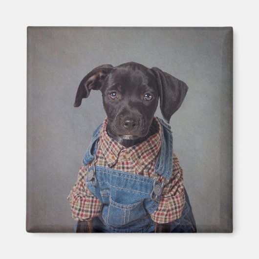 レビ マグネット (正面)