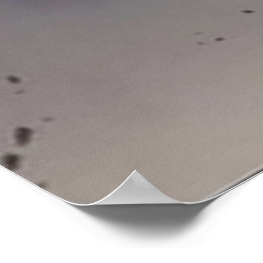 レビ×ミカサ ポスター (角)