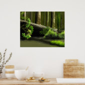 レピドデンドロンフォレスト1 ポスター (キッチン)