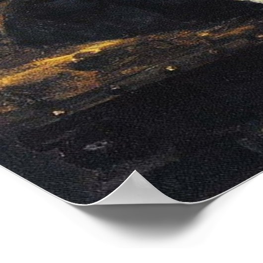 レピン – Vera Repina 1874 ポスター (角)