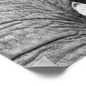 レファントプリント – 大 ポスター (角)