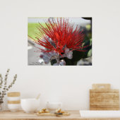 レフアフラワーボルケーノナショナルパーク ポスター (キッチン)