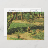 レプリカヴィンテージエジプト、ナイルデルタ農業 ポストカード (正面/裏面)