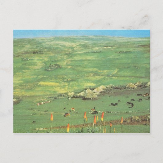 レプリカヴィンテージエチオピア、円錐小屋の村 ポストカード (正面)