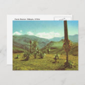 レプリカヴィンテージオートセミエン、エチオピア、3750m ポストカード (正面/裏面)