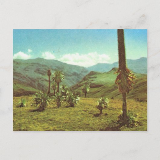 レプリカヴィンテージオートセミエン、エチオピア、3750m ポストカード (正面)