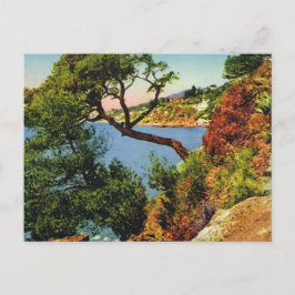 レプリカヴィンテージポストカード、ツーロン、キャップブラン ポストカード