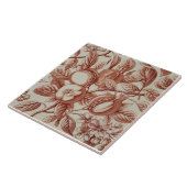 レプロアンティークポメグラネート植物アートキッチン タイル (側面)