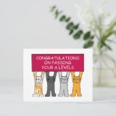 レベルの合格おめでとう ポストカード (スタンド正面)