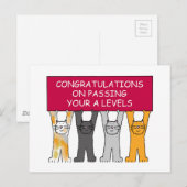 レベルの合格おめでとう ポストカード (正面/裏面)