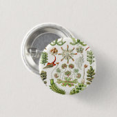 レベルムース湖 缶バッジ (正面&裏面)