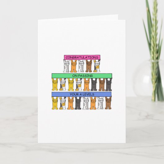 レベル合格おめでとう カード (正面)