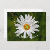 レベ・デイン・レベン！ダ・エーヌ！ ポストカード (正面/裏面)