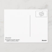 レマゲン州エルペルにルデンドルフ橋が残っている ポストカード (裏面)