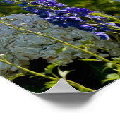 レマゲン ポスター (角)