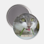 レママグネット011 マグネット (正面/裏面)