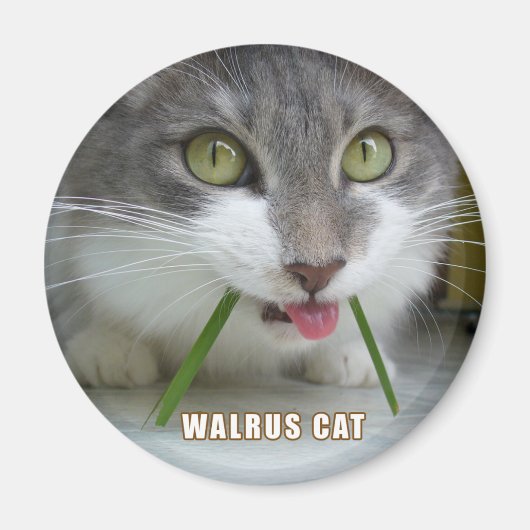 レママグネット011 マグネット (正面)