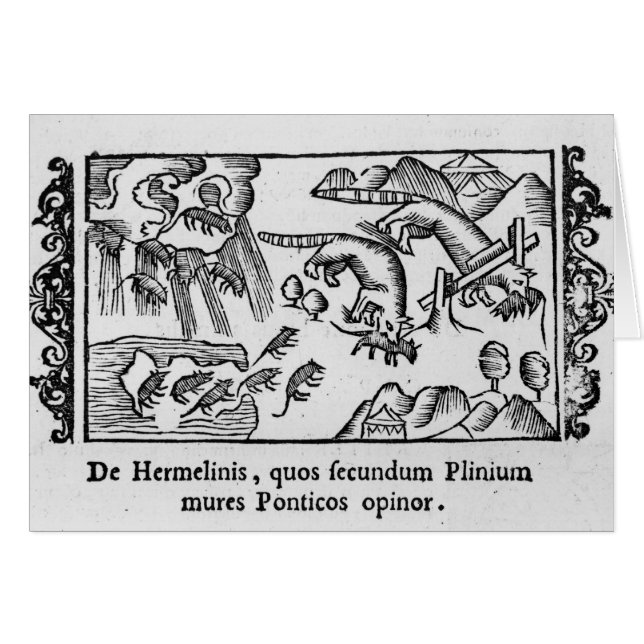 レミングの移動 (正面横)