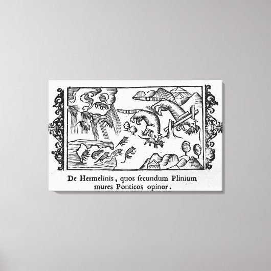 レミングの移動 キャンバスプリント (正面)