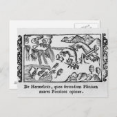 レミングの移動 ポストカード (正面/裏面)