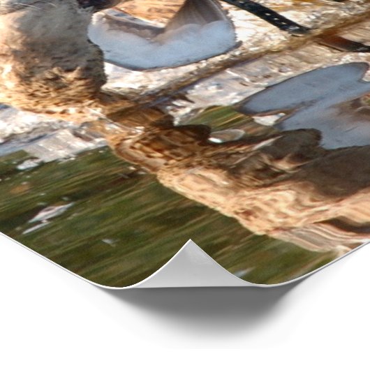 レミントン ポスター (角)