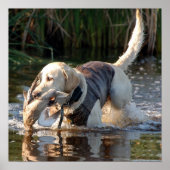 レミントン ポスター (正面)