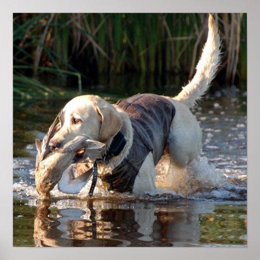 レミントン ポスター (正面)