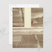 レムーア牧場 ポストカード (正面/裏面)