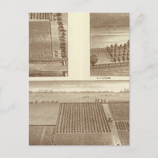 レムーア牧場 ポストカード (正面)