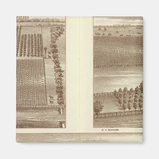 レムーア牧場 マグネット (正面)