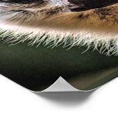 レムールとポンプ ポスター (角)