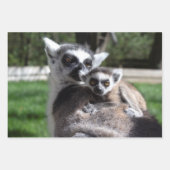 レムールカッタファミリー ラッピングペーパーシート (正面2)