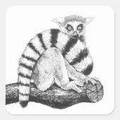 レムールスケッチ スクエアシール (正面)