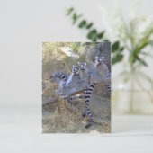 レムールラインのポストカード ポストカード (スタンド正面)