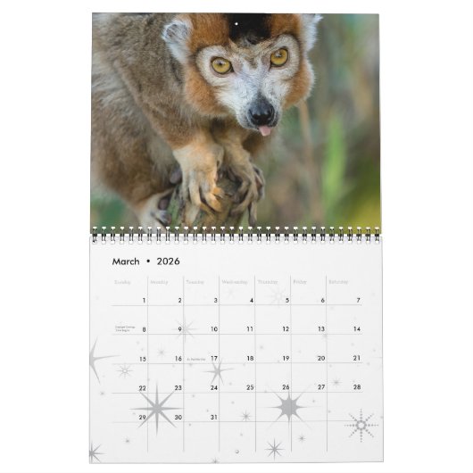 レムールワイルドプリメイトウェルカムホームデスティニーズデスティニー カレンダー (3月 2026)