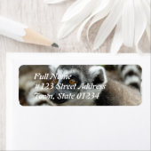 レムール差出人住所ラベル ラベル (インサイチュ)