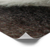 レムール ポスター (角)