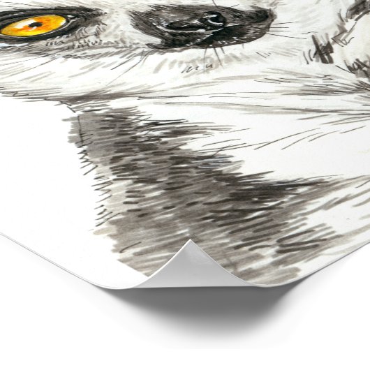 レムール ポスター (角)